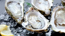 People In At Least 22 States Affected By Salmonella Outbreak Caused By Raw Oysters