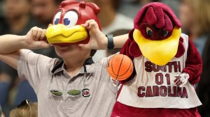 South Carolina basketball mascot and fan
