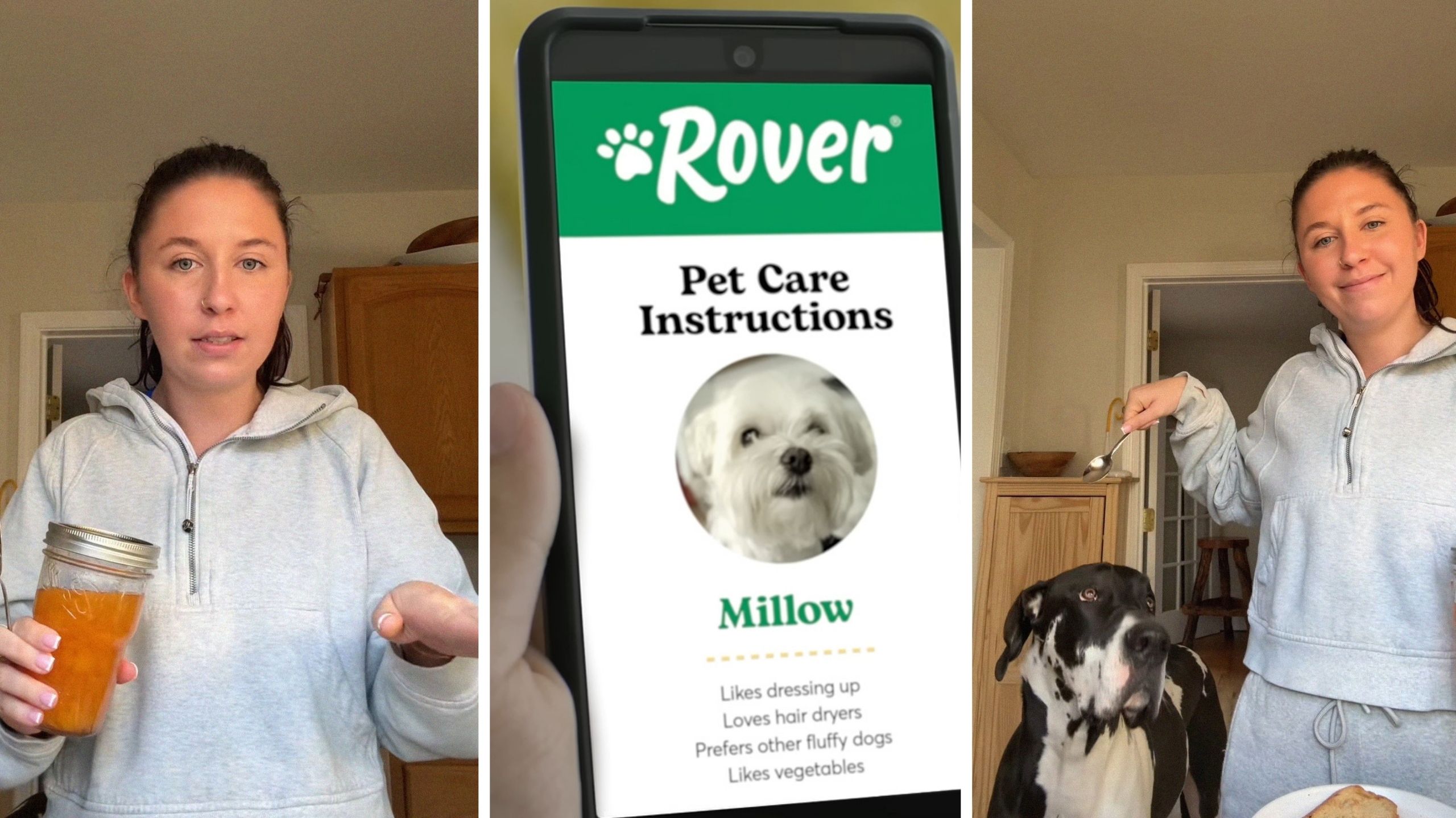 woman shares rover sitter experience (l) rover sitter app (c) woman shows her black Great Dane (r)