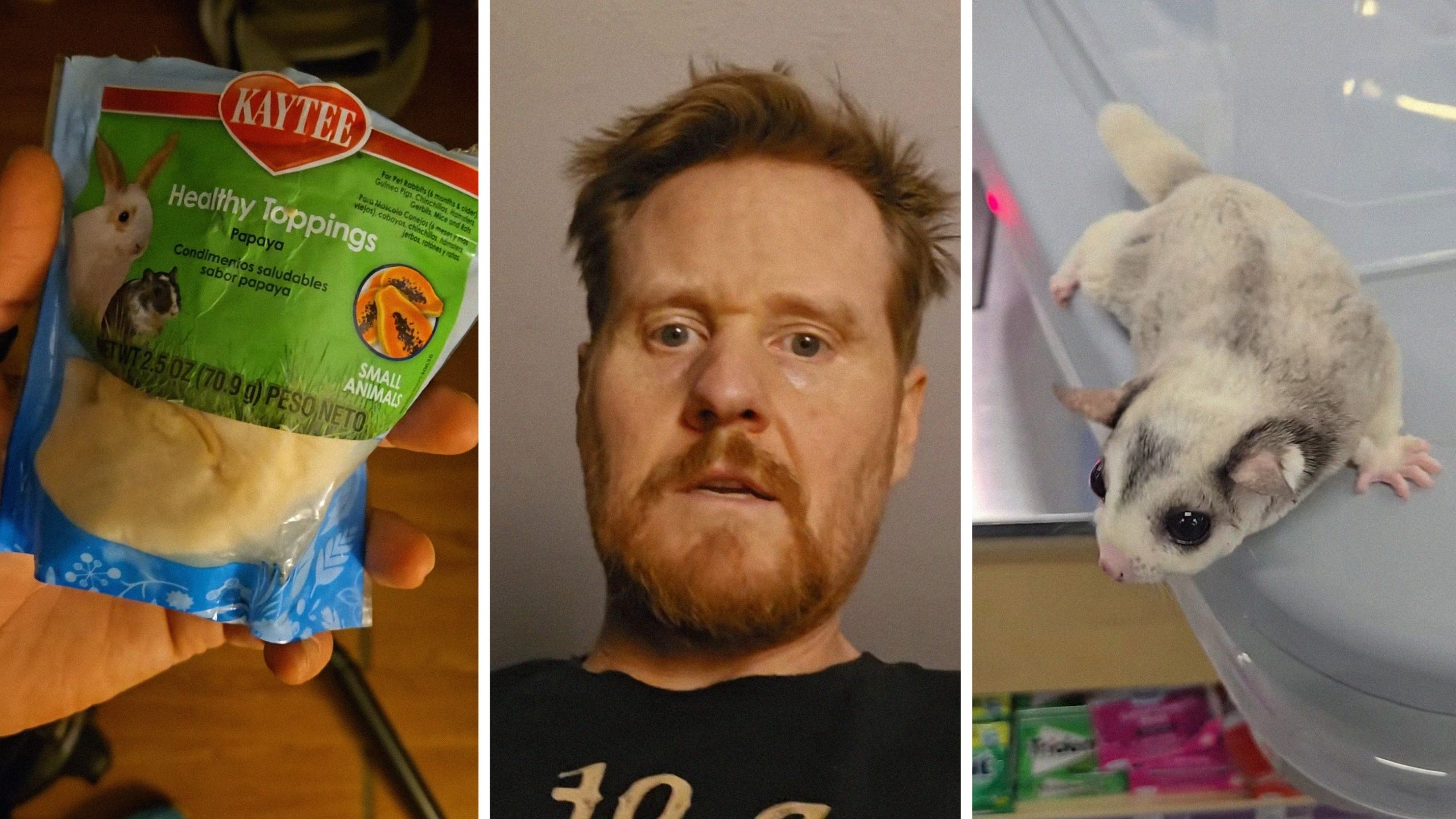 bag of pet treat (l) man shares pet experience (c) sugar glider (r)