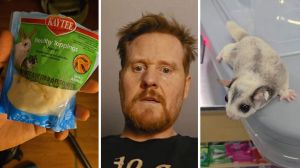 bag of pet treat (l) man shares pet experience (c) sugar glider (r)