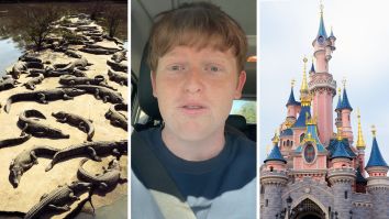 Former Disney World Worker Says Safari Drivers Are Trained To Drive Off If Someone Falls Into The Crocodile Pit. Then He Reveals The Chilling Reason Why