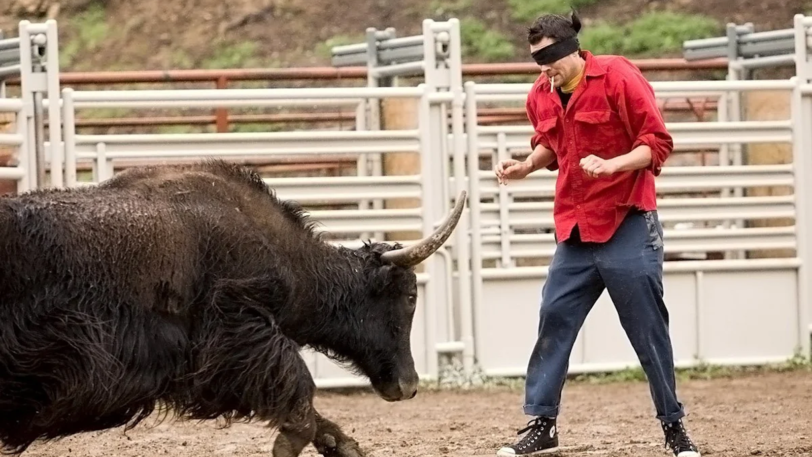 Johnny Knoxville bull