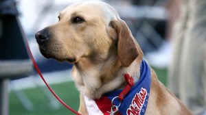 Juice Kiffin Ole Miss