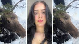 ‘Not The Whale Eyes, Y’all Are In Danger’: Pittsburgh Woman’s Dad Finds Moose Trapped In 5 Feet Of Snow