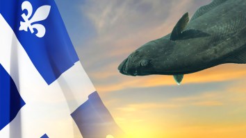 Quebec Ice Fishermen Land Record-Setting 244-Pound Atlantic Halibut In The Name Of Science