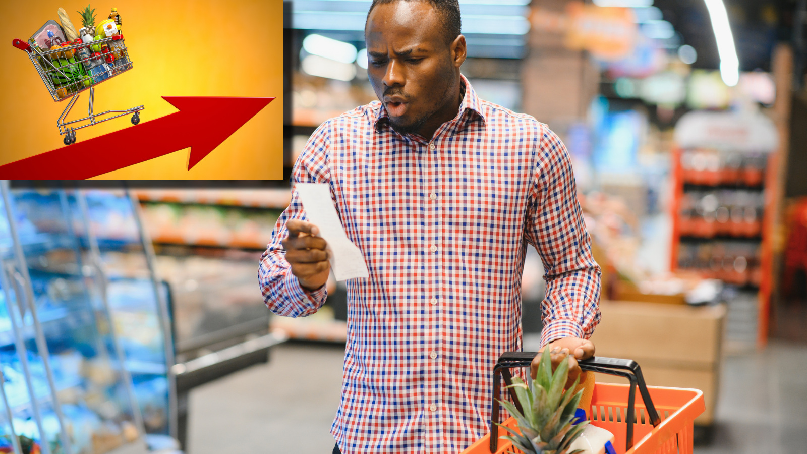 depiction of expensive grocery prices