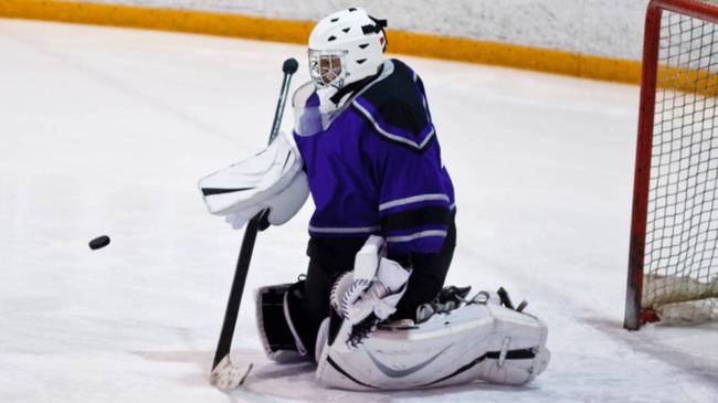 Hockey goalie