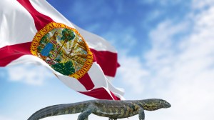 Nile monitor lizard over the Florida state flag