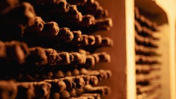 Utah Archaeologists Find 150-Year-Old Bottle Of Unknown Alcohol, Give It A Taste Just To See