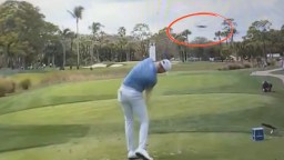 Did Ryan Gerard Really Hit Bird With Tee Shot? Skeptics Question After Golfer Saves Par