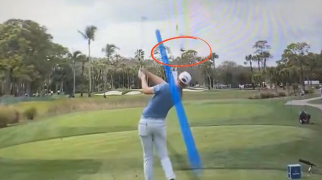 Ryan Gerard / Cognizant Classic