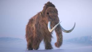 Wooly mammoth