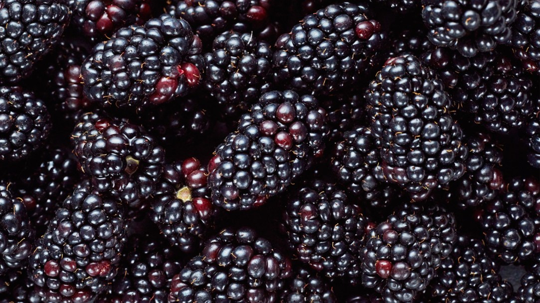 Blackberries