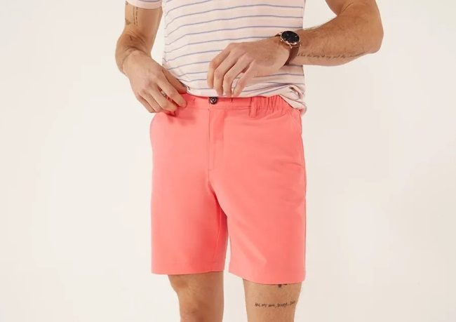 Chubbies Everywear Performance Short - The New Englands