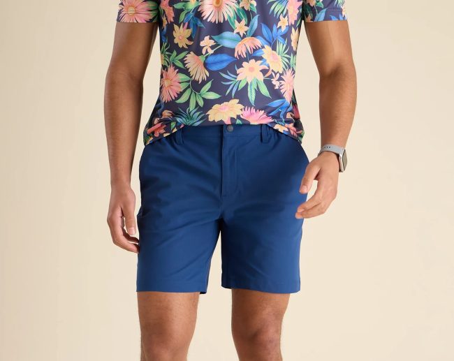 Chubbies Fairway Short – The New Avenues