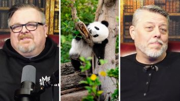 Man Claims Pandas Aren’t Real. Do Scientists Really Back Up His Claim?