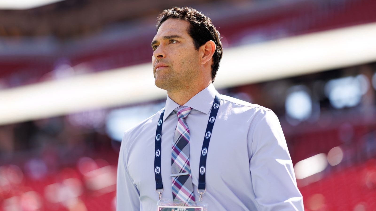 who stabbed mark sanchez Image 7