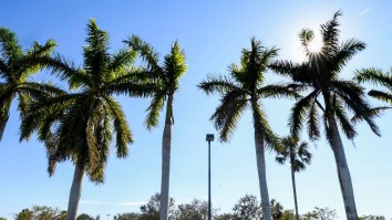 Florida Man Who Looks Like Jeffrey Epstein Speaks Out ‘I’m Not Jeffrey Epstein, I’m Palm Beach Pete’