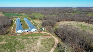 Kentucky Woman Rejects $26 Million To Turn Her Family’s Farm Into AI Data Center