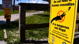 Florida Officials Investigating Popular Streamer Clavicular For Shooting Alligator On Livestream