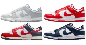 Nike Dunk Low Retro shoes