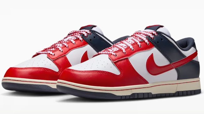 Nike Dunk Low Retro shoes
