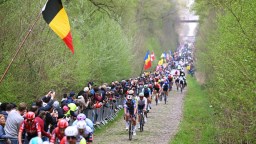 Legendary Paris-Roubaix Cycling Race Uses Goats To Clean Up Iconic Route In Bizarre Scene