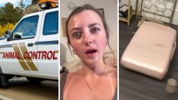 Colorado Woman Returns From Trip to Costa Rica. When She Opens Her Suitcase, She Immediately Calls Animal Control