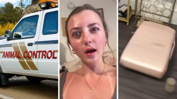 Colorado Woman Returns From Trip to Costa Rica. When She Opens Her Suitcase, She Immediately Calls Animal Control
