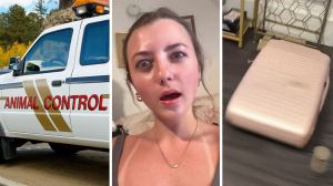 animal control vehicle (l) woman shares luggage issue after traveling (c) pink suitcase (r)