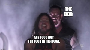 best meme dog food joke undertaker and AJ Styles