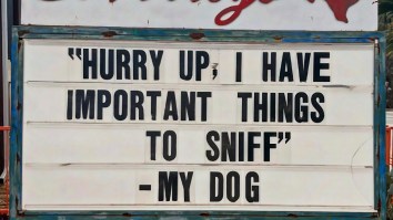 The 52 Best Memes On The Internet To Start Off This Week