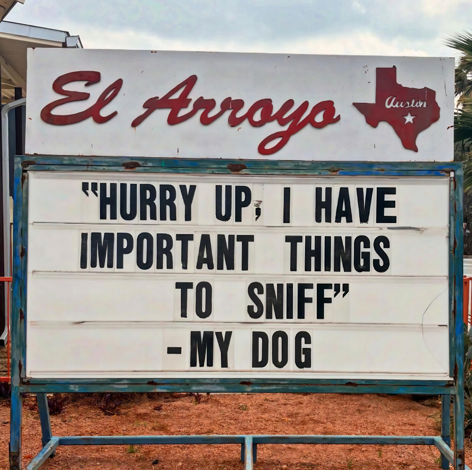 best meme this week joke about a dog