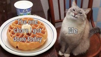 The 52 Best Memes (So Far) This Week Across The Internet