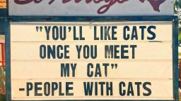 The 55 Best Memes On The Internet This Week