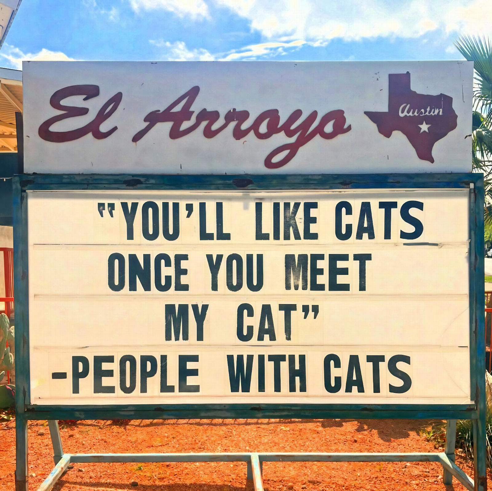 best memes of the week funny cat joke