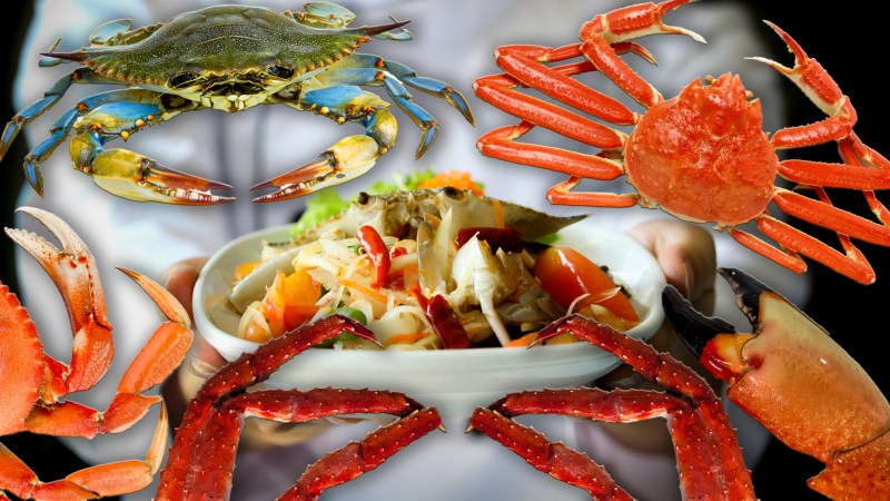 The 9 Best Tasting Crabs On Earth, A Very Unscientific Ranking