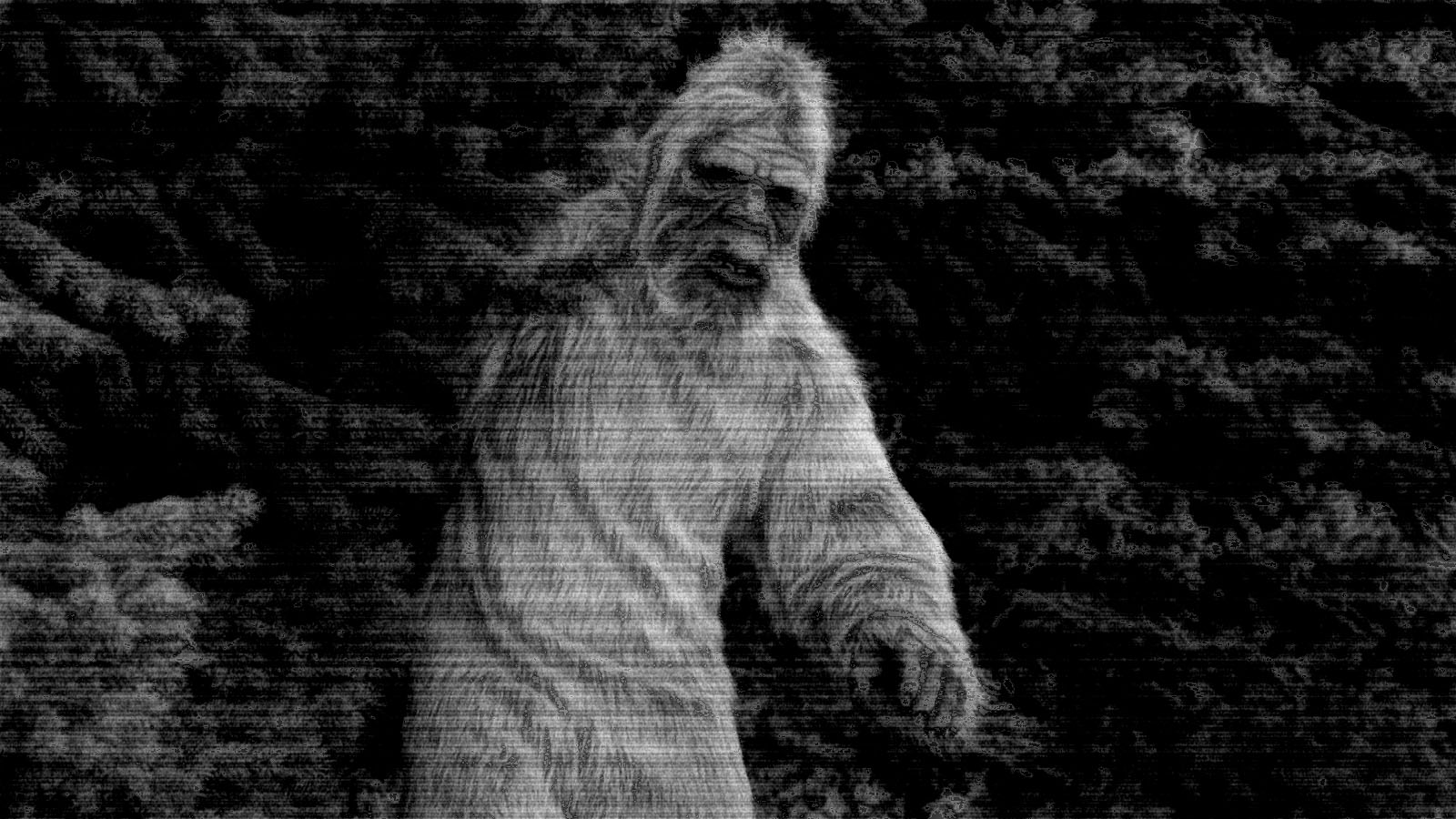 ‘High-Credibility Reports’: Bigfoot Investigators Tracking An ‘Unprecedented Cluster Of Activity’ In Ohio