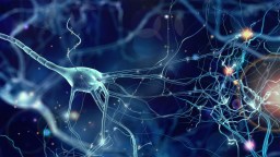 Biotech Company Building The First AI Data Centers To Be Powered By Human Brain Cells