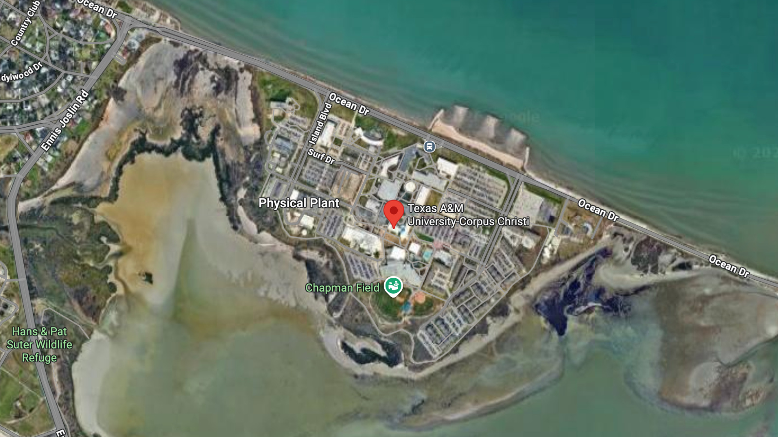 closest colleges to the beach TAMU Corpus Christi