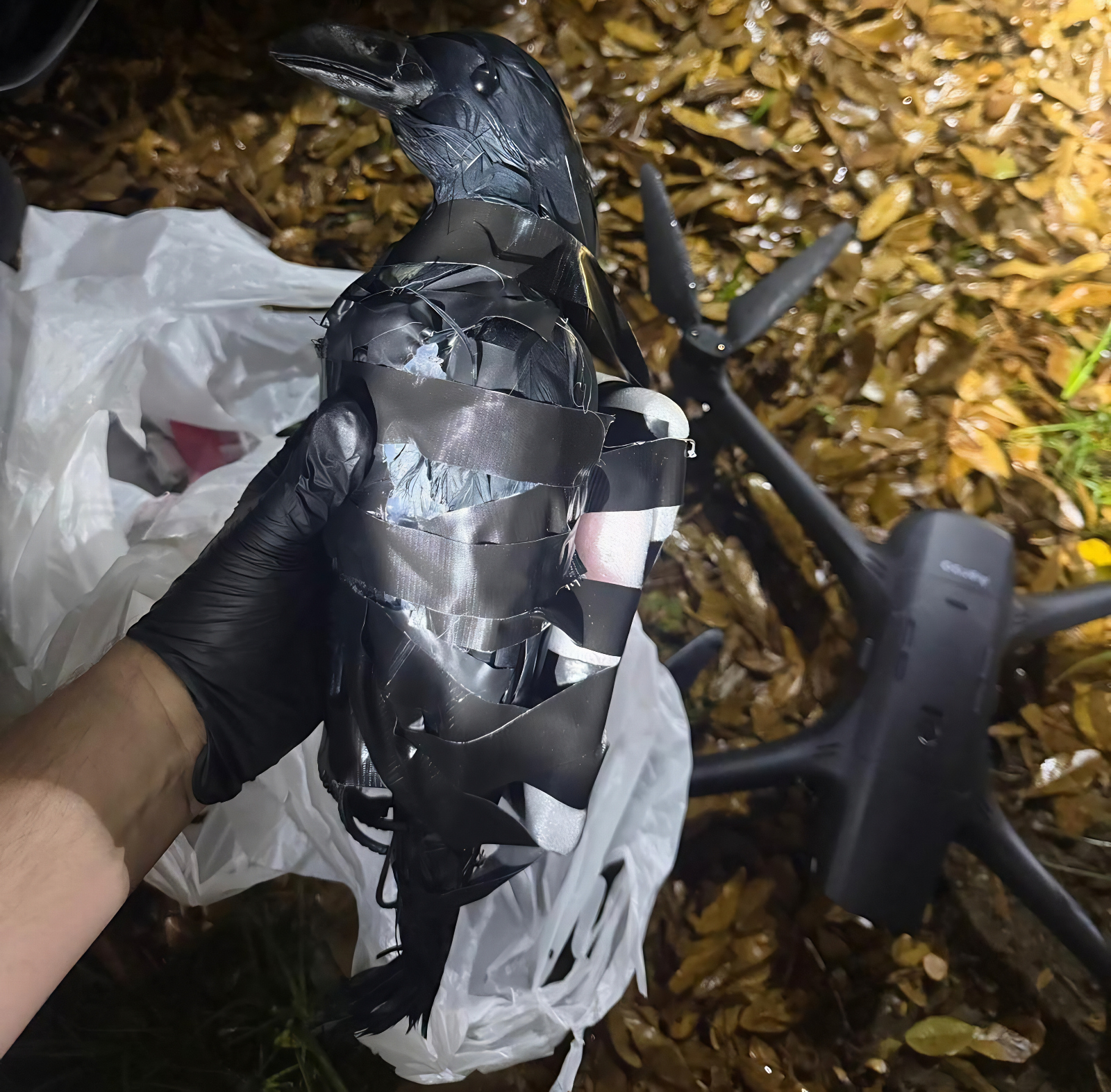 plastic crows dropped from drones into prison