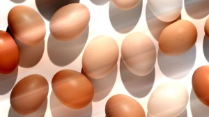 eggs