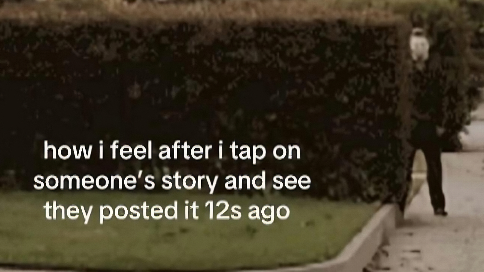 Here Are 52 Of The Internet’s Favorite Memes Today