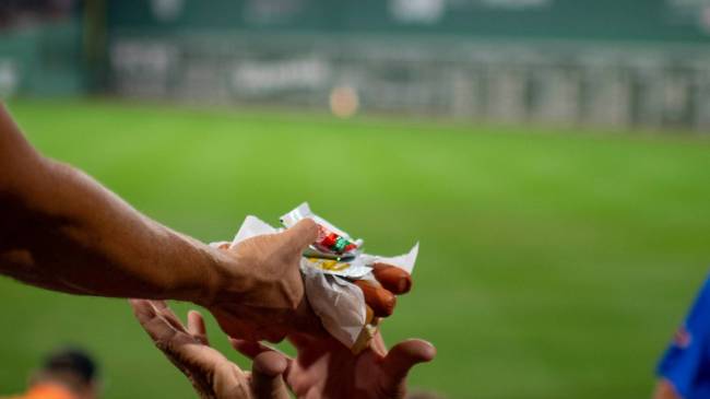 Hot dog at Fenway Park
