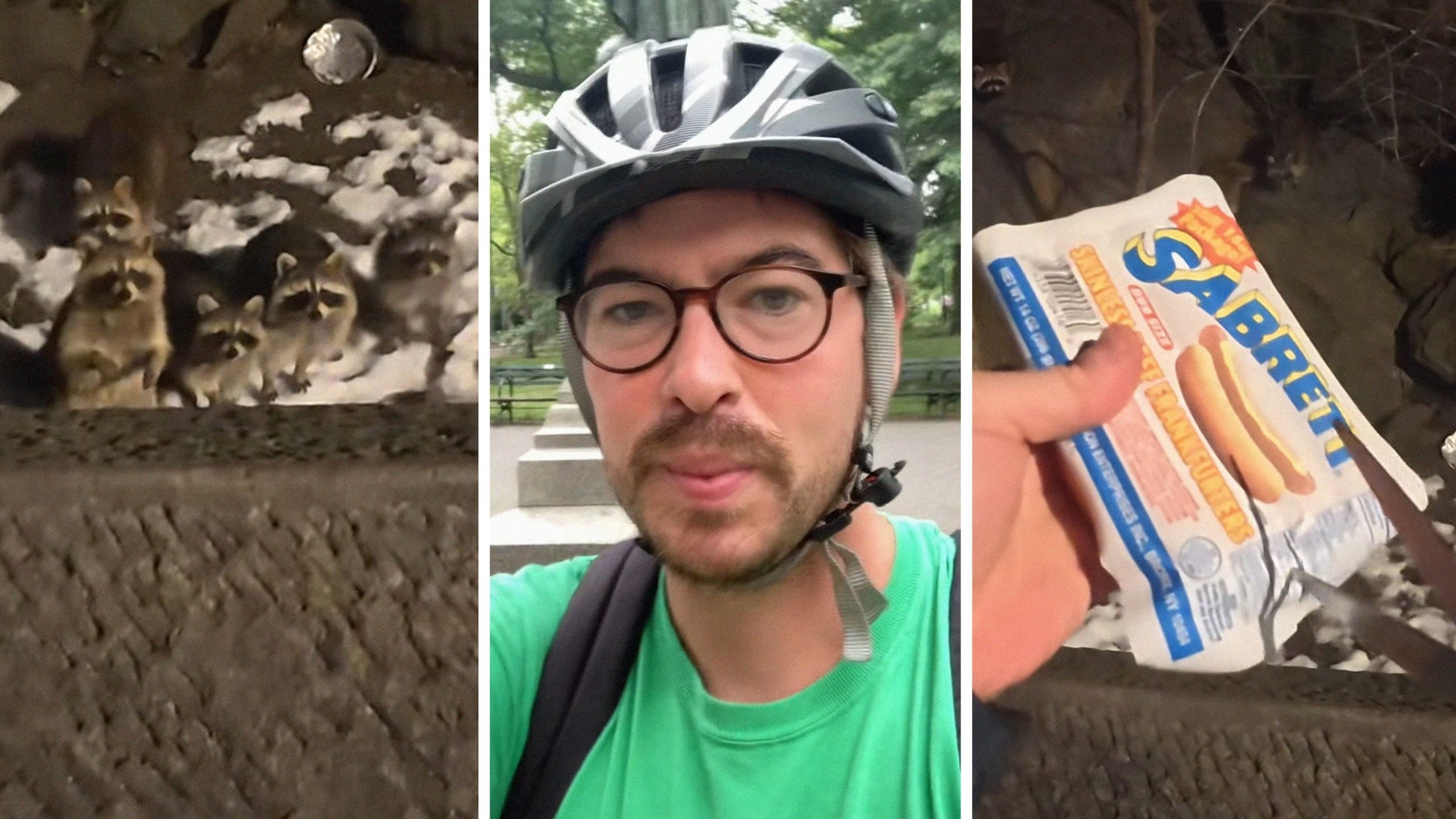 New York City Man Buys Packet Of Sabrett Hot Dogs. Then He Takes Them To Central Park At Night