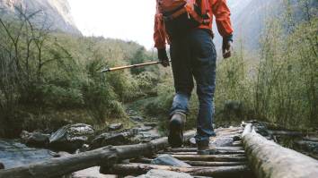 Canadian Veteran Fighting $25K Fine He Received For Taking A Walk In The Woods In Nova Scotia
