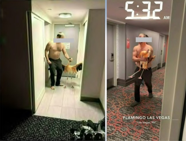 Man with stolen flamingo in Las Vegas