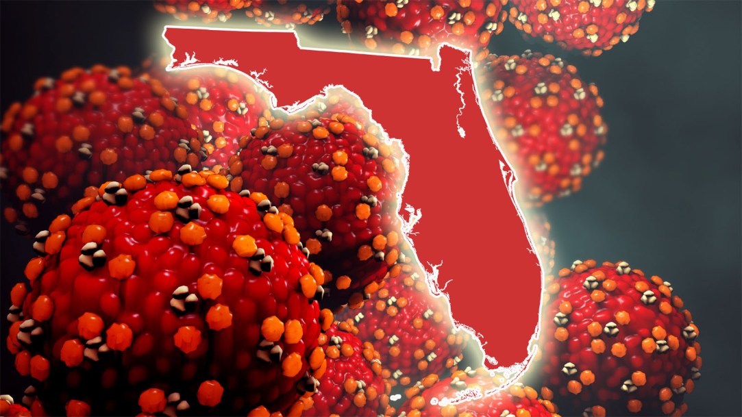 measles-florida