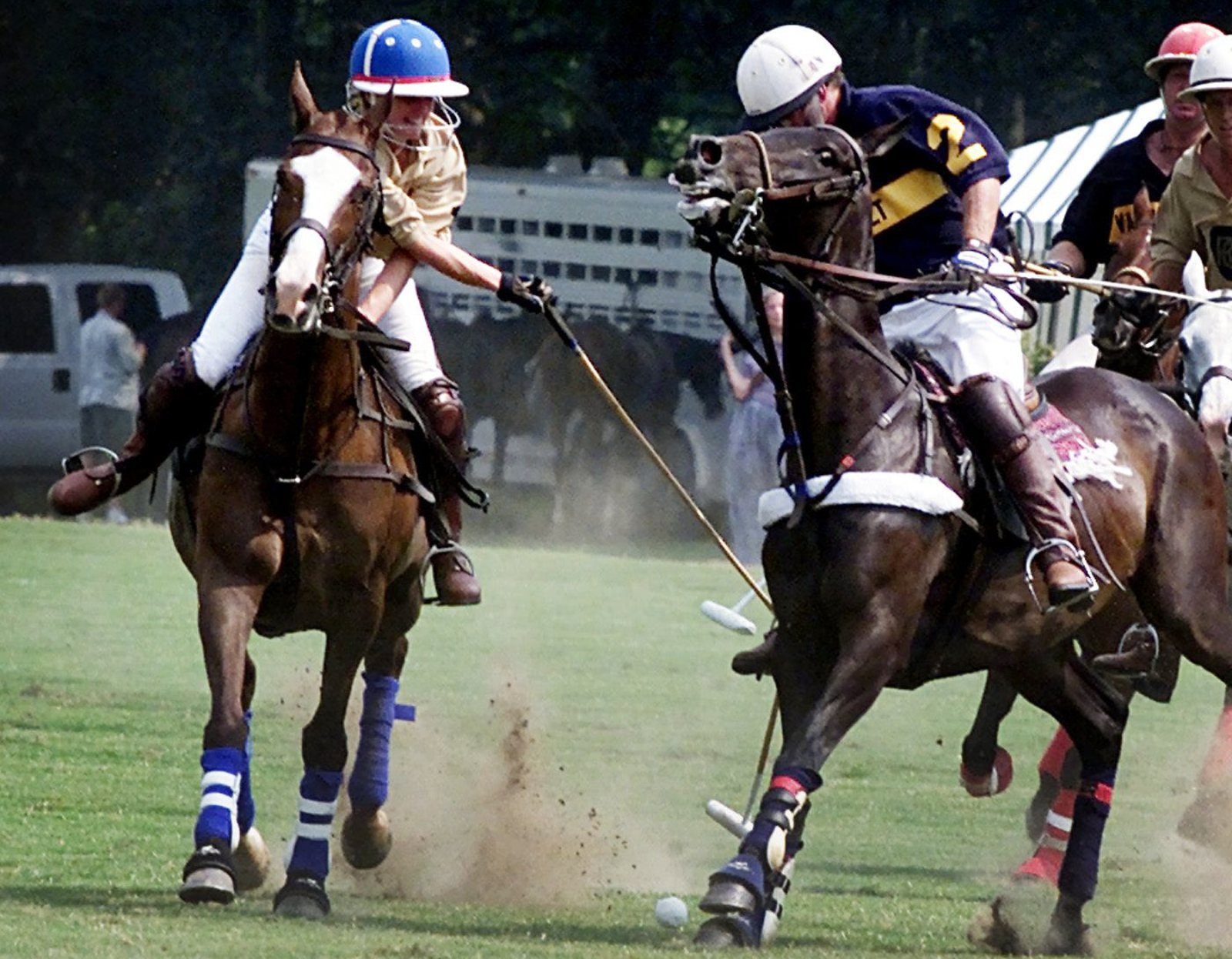 Polo horses in the middle of a match